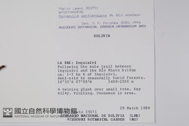 登錄號:S018406藏品圖，第2張