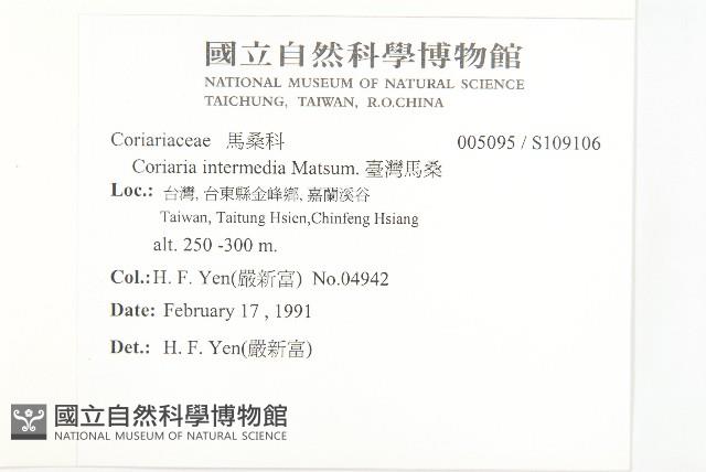 臺灣馬桑藏品圖，第2張