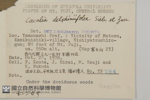 登錄號:S049106藏品圖，第2張