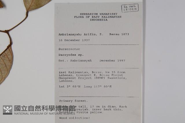 登錄號:S058806藏品圖，第2張