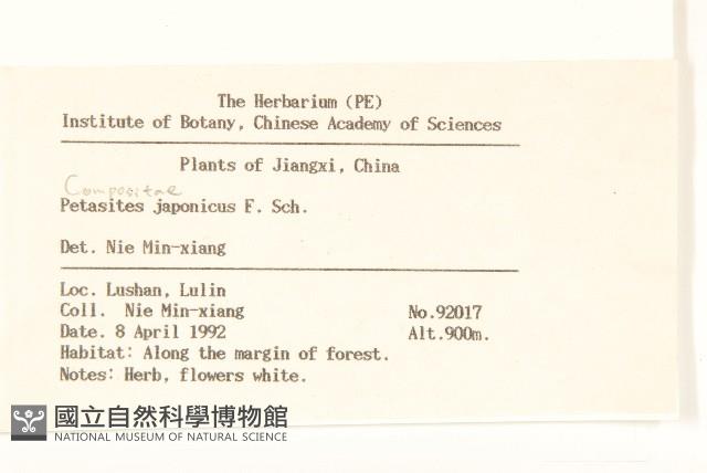 蜂斗菜、蛇頭菜藏品圖，第2張