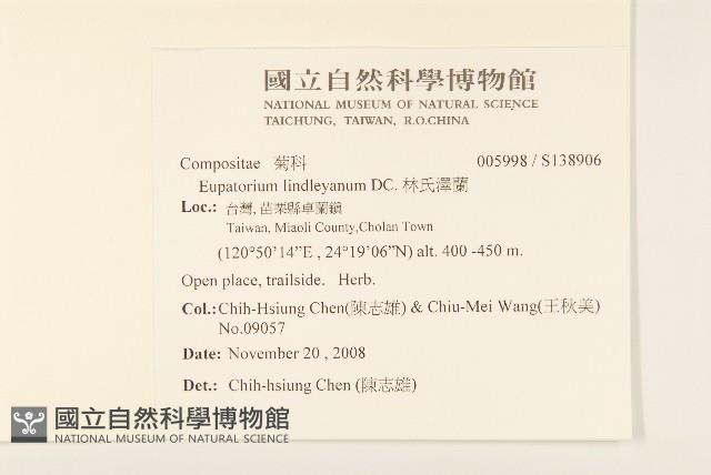 林氏澤蘭藏品圖，第2張