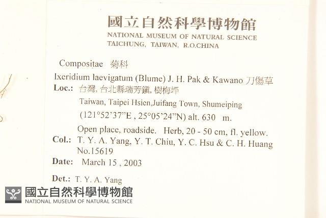 刀傷草藏品圖，第2張