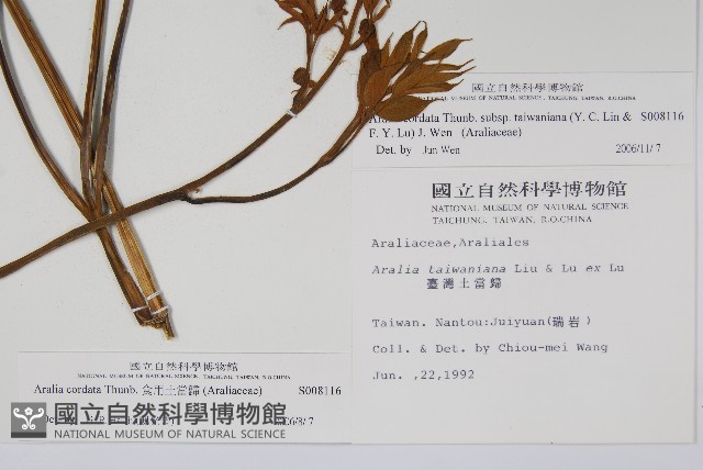 登錄號:S008116藏品圖，第2張
