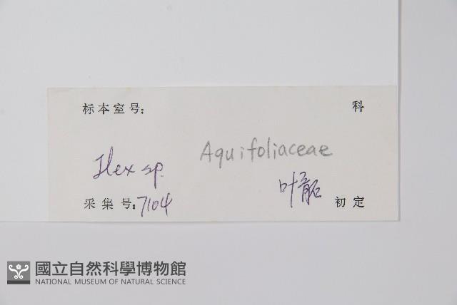 登錄號:S128816藏品圖，第2張