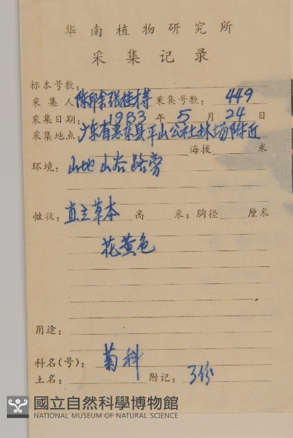 異芒菊藏品圖，第2張