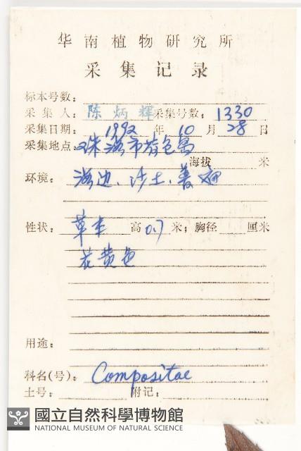 蟛蜞菊藏品圖，第2張