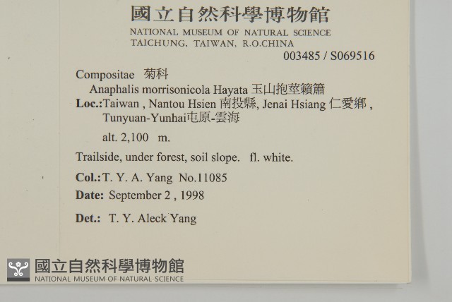 玉山抱莖籟簫藏品圖，第2張