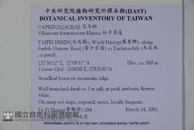 紅子莢迷藏品圖，第2張