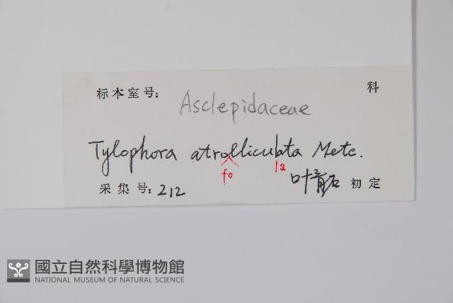 三分丹藏品圖，第2張