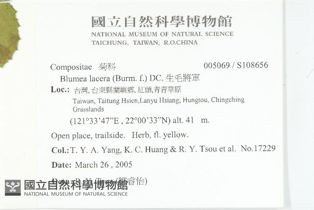 生毛將軍藏品圖，第2張