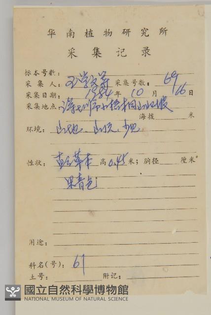 臭杏、土荊芥藏品圖，第2張