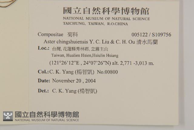 清水馬蘭藏品圖，第2張