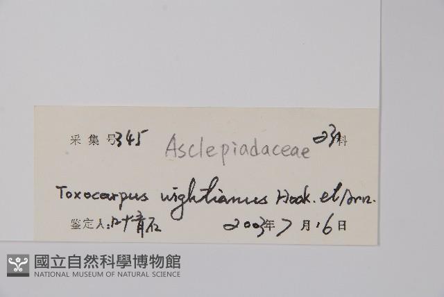 弓果藤藏品圖，第2張