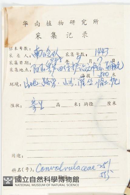 日本菟絲子藏品圖，第2張