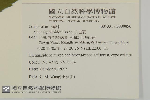 山白蘭藏品圖，第2張