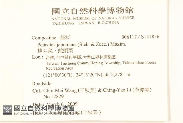 蜂斗菜、蛇頭菜藏品圖，第2張