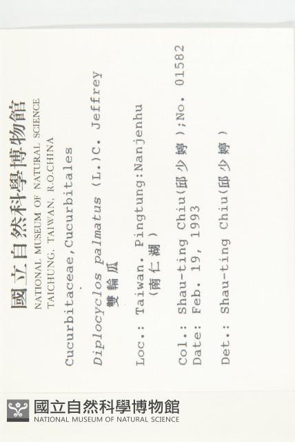 雙輪瓜藏品圖，第2張