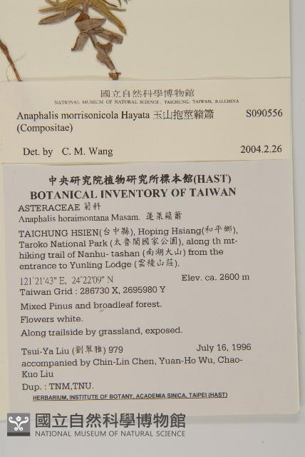 玉山抱莖籟簫藏品圖，第2張