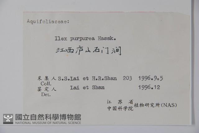 冬青藏品圖，第2張