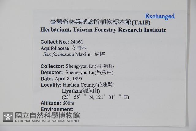 糊樗藏品圖，第2張