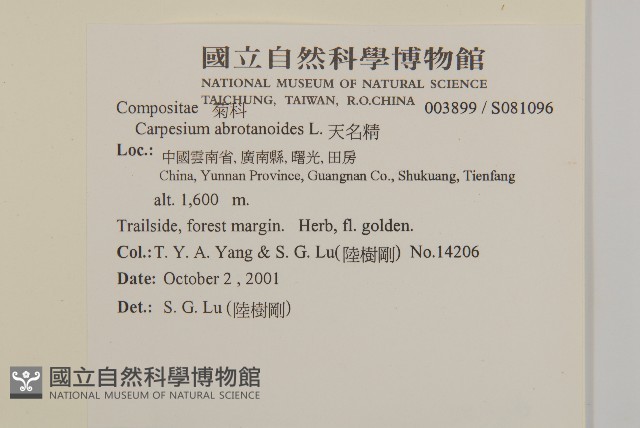 天名精藏品圖，第2張