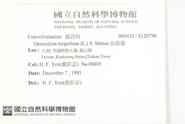 盒果藤藏品圖，第2張