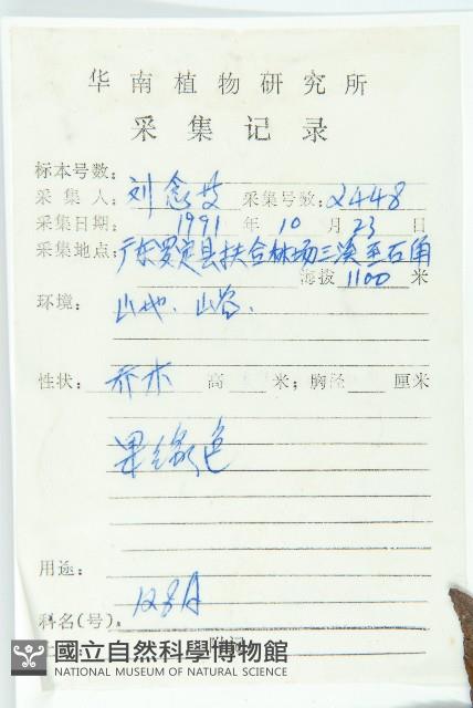 冬桃藏品圖，第2張