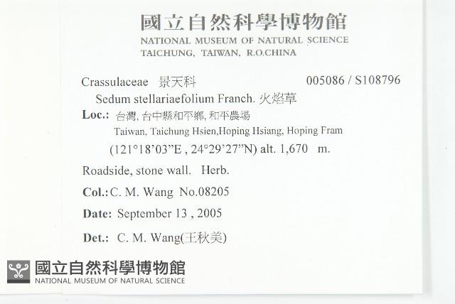 火焰草藏品圖，第2張