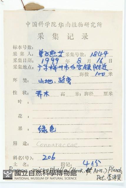 紅葉藤藏品圖，第2張