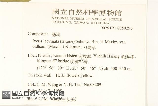 刀傷草藏品圖，第2張