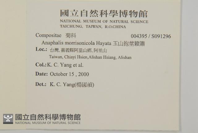 玉山抱莖籟簫藏品圖，第2張