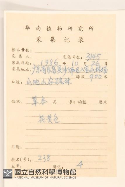 鼠麴草藏品圖，第2張