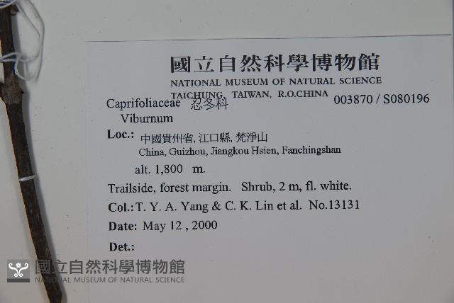 登錄號:S080196藏品圖，第2張