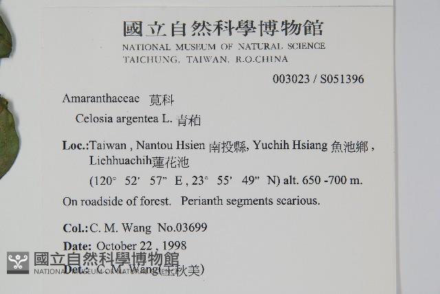 青葙藏品圖，第2張