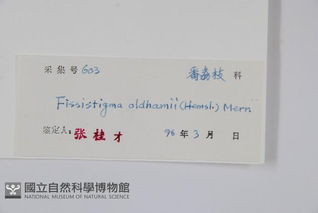 瓜馥木藏品圖，第2張