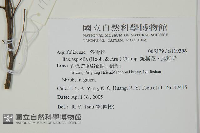 燈稱花、烏雞骨藏品圖，第2張