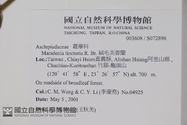 絨毛芙蓉蘭藏品圖，第2張