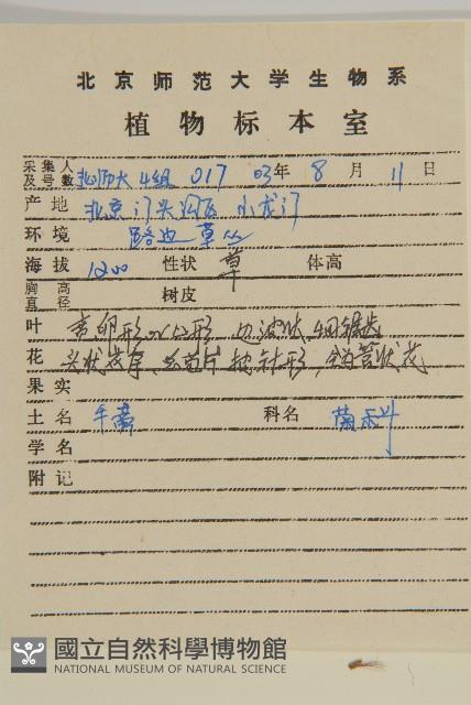 牛蒡藏品圖，第2張