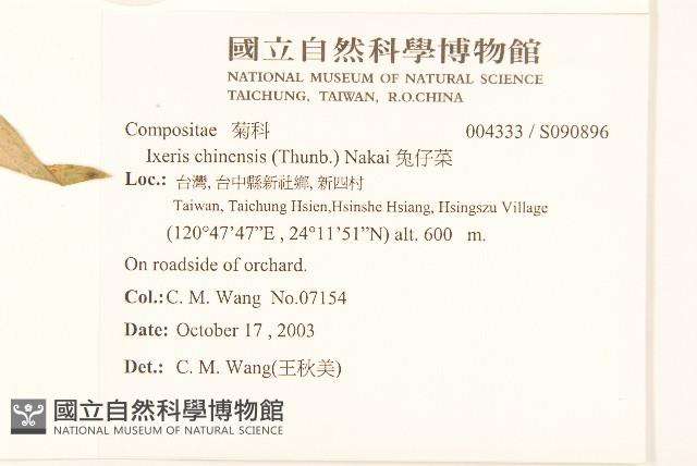 兔仔菜藏品圖，第2張