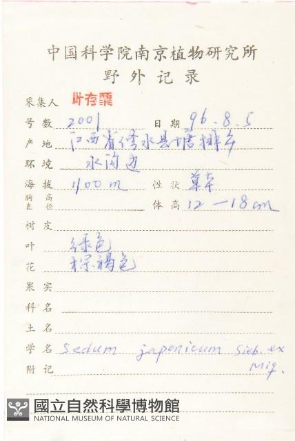 佛甲草藏品圖，第2張