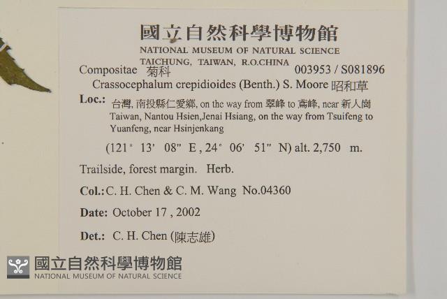 昭和草藏品圖，第2張