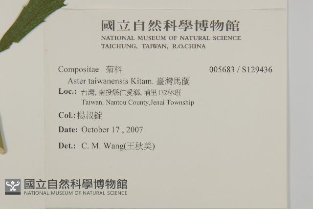 臺灣馬蘭藏品圖，第2張