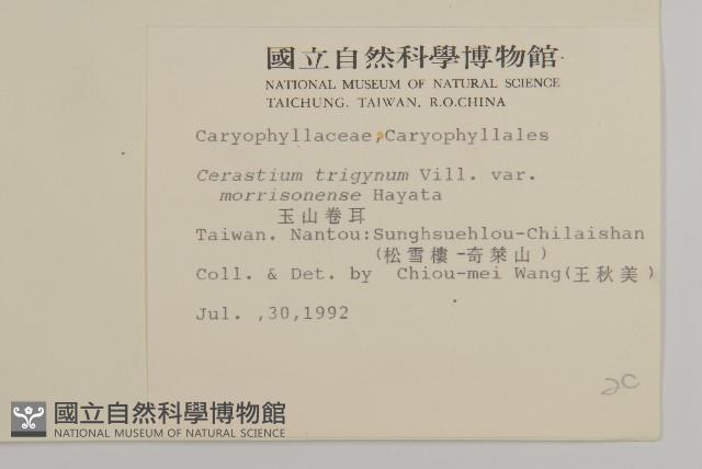 Accession Number:S008436 Collection Image, Figure 2, Total 2 Figures