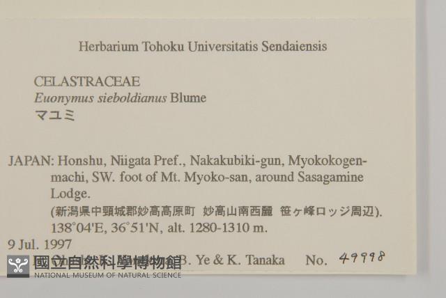 登錄號:S058436藏品圖，第2張