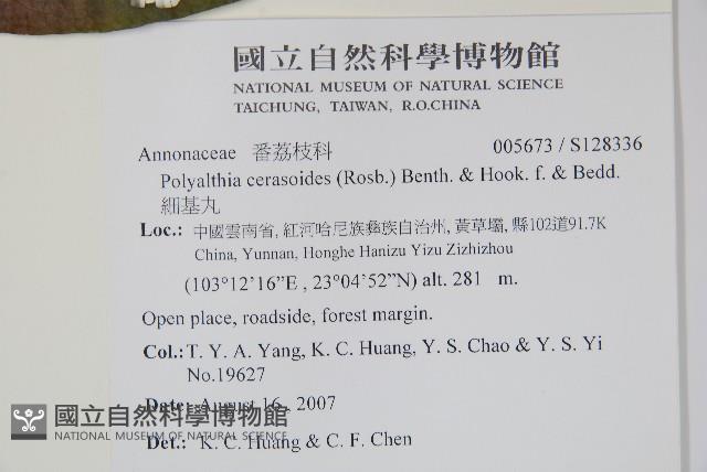 細基丸藏品圖，第2張