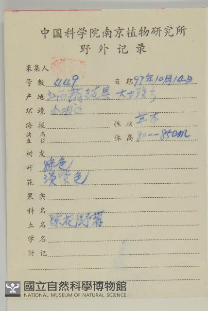 山白蘭藏品圖，第2張