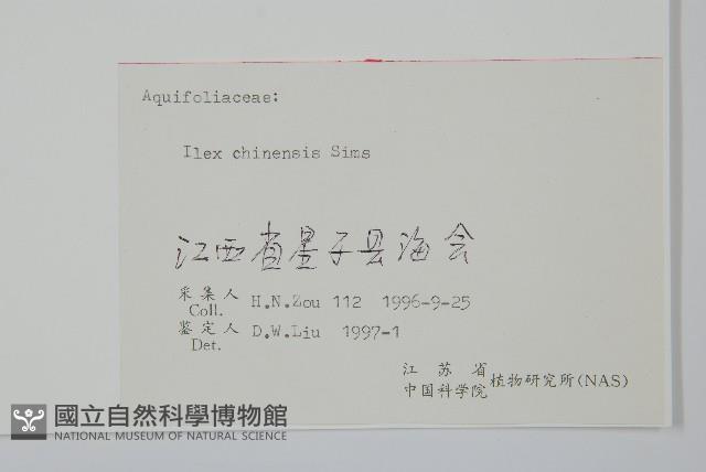 冬青藏品圖，第2張