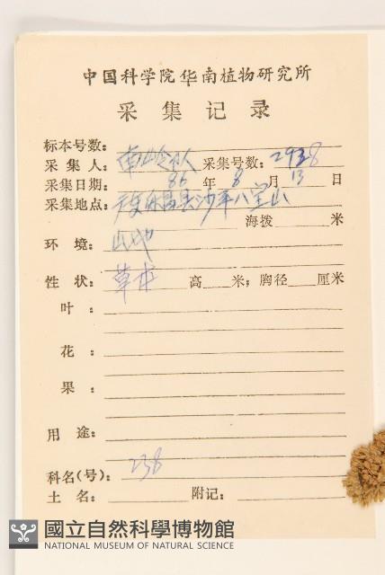 登錄號:S038836藏品圖，第2張