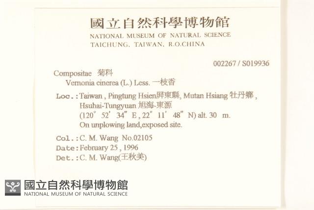 一枝香藏品圖，第2張